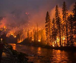 Wildfire! (Natural Disasters)