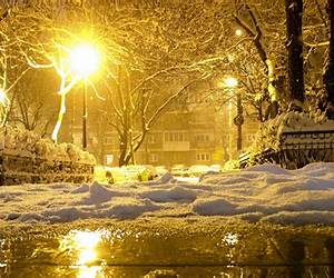 Winter's Light Winter's Light