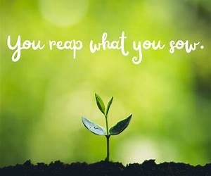 You Reap What You Sow: Turn That Floozy Series You Reap What You Sow: Turn That Floozy Series
