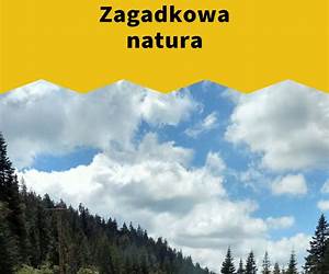 Zagadkowa natura