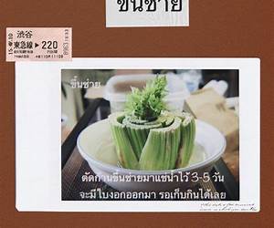write สาระ write สาระ